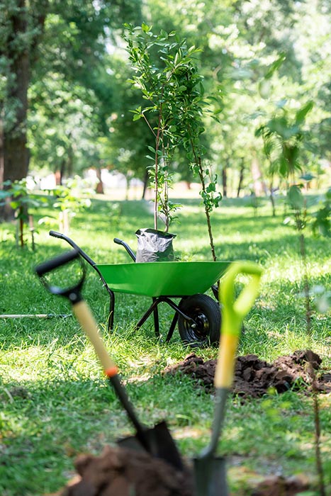 Gardening 2