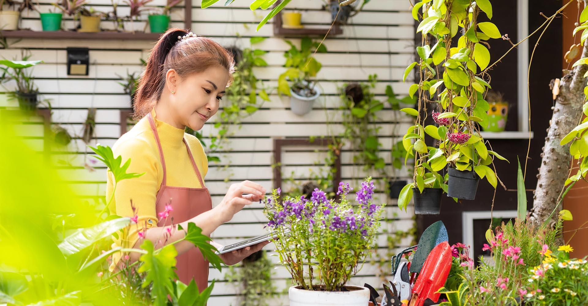 Contractor services
